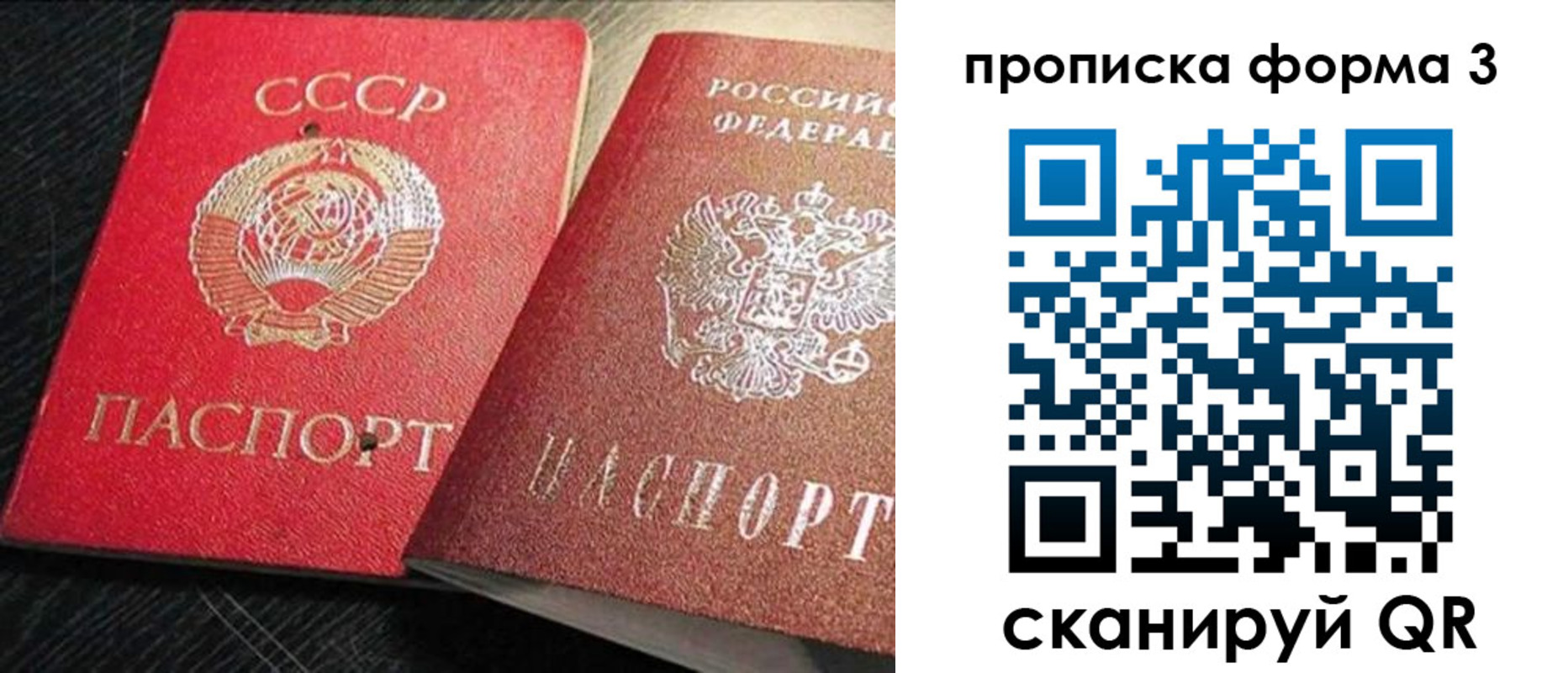временная регистрация поиск в Николаевске-на-Амуре